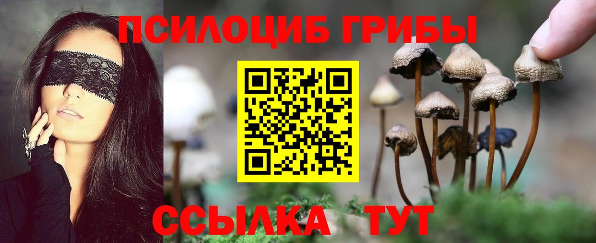 Псилоцибиновые грибы Cubensis  Галлюциногенные грибы Cubensis  Воронеж  Вход с VPN 