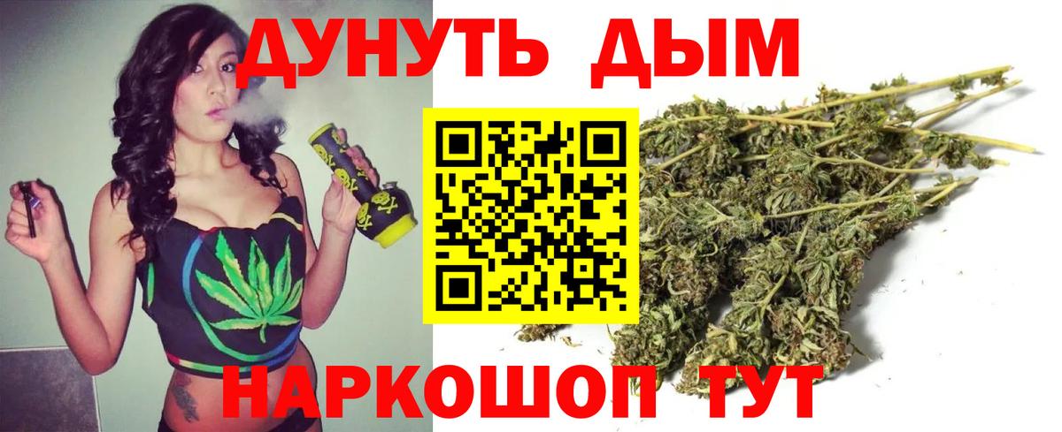 Канабис планчик Воронеж